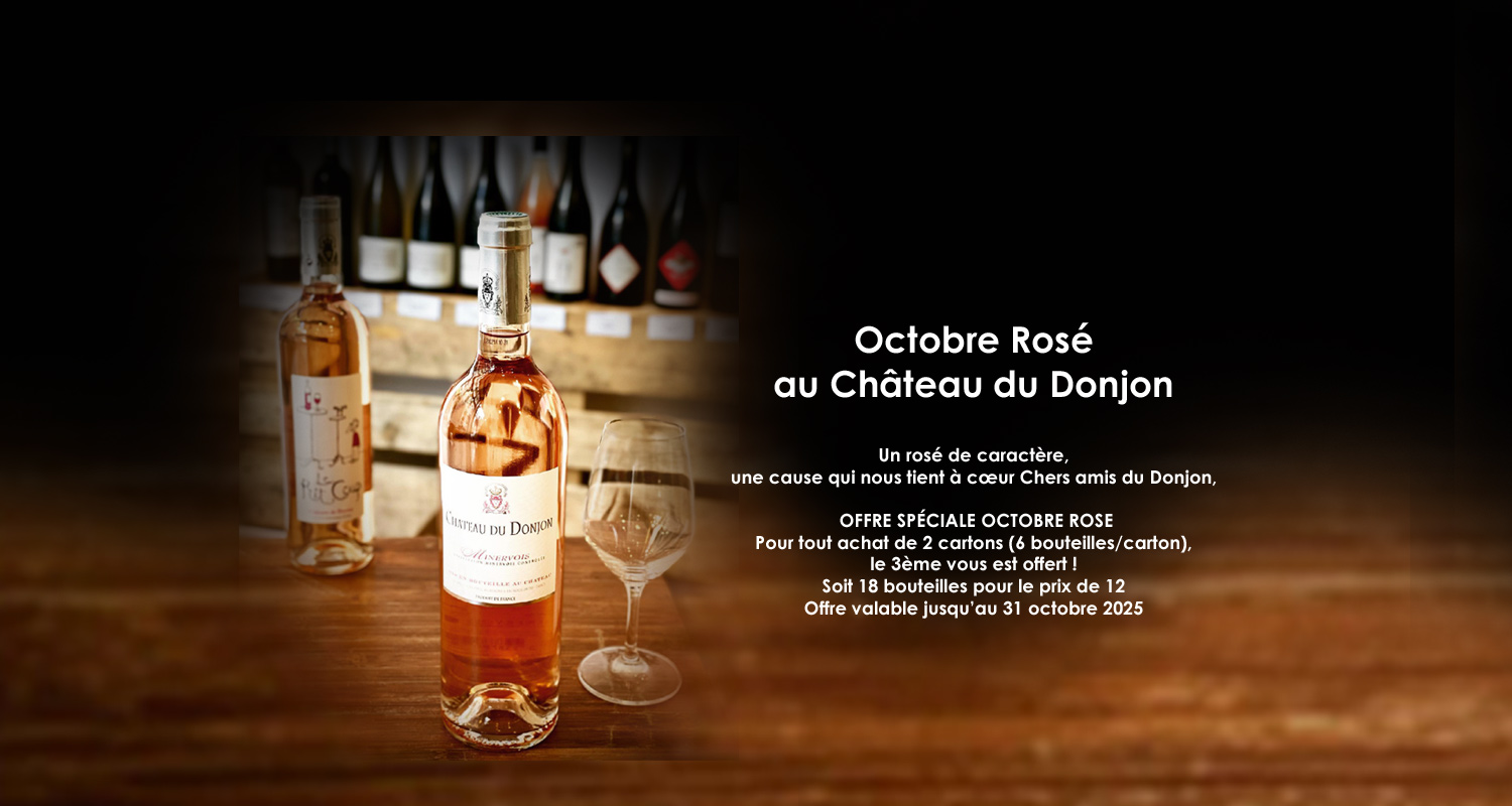 chateau-du-donjon251009044624.jpg