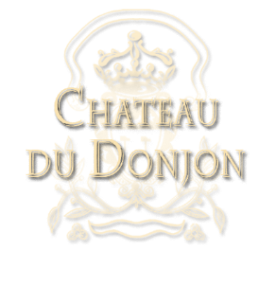 chateau-du-donjon